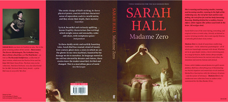 Madame Zero book cover